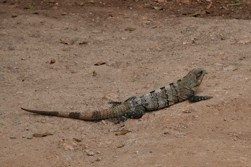 Mexico & Guatemala 2010 - 0070